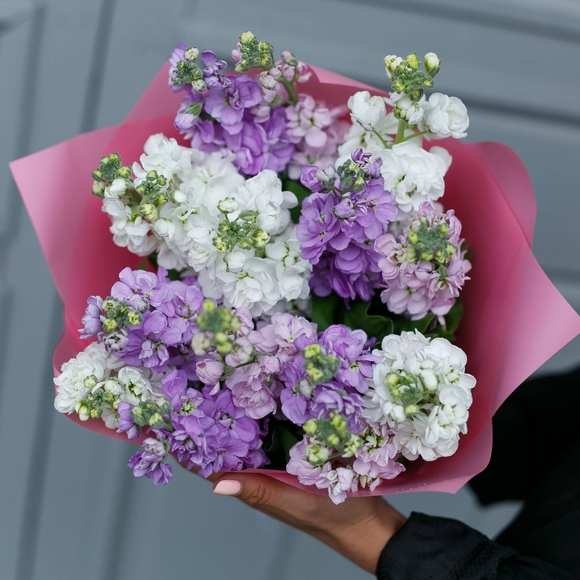 Букет из 15 маттиол микс