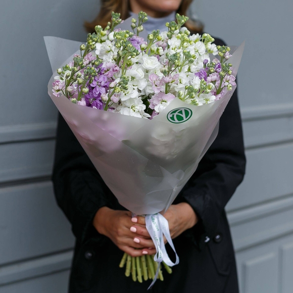 Букет из 25 маттиол микс