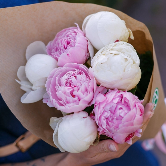 Букет из 7 пионов микс (Голландия) 