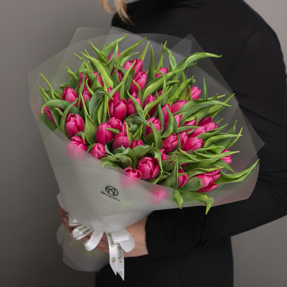 Букет из 51 малинового тюльпана (Голландия) в корейской упаковке