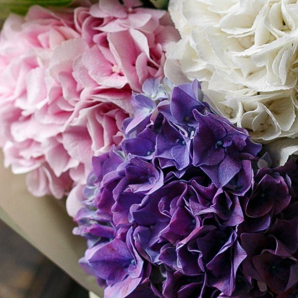 Букет из 5 гортензий микс