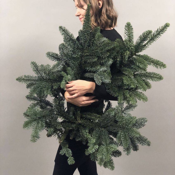 3 ветки датской пихты нобилиc