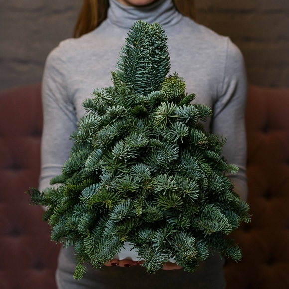 Новогодняя елочка без украшений - M
