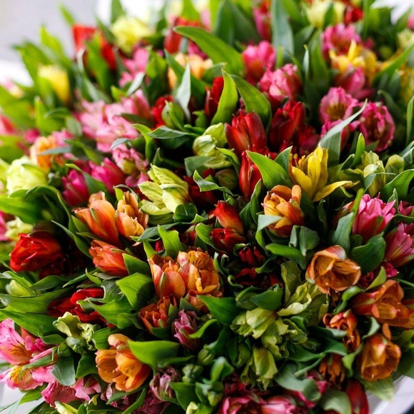 51 альстромерия микс