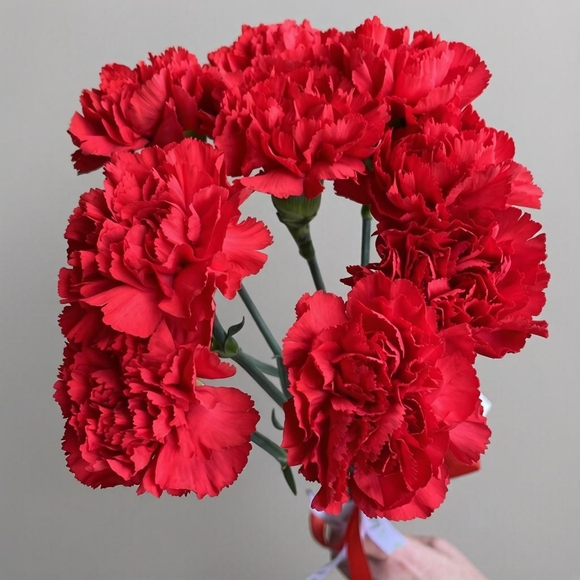 Букет из 9 красных гвоздик