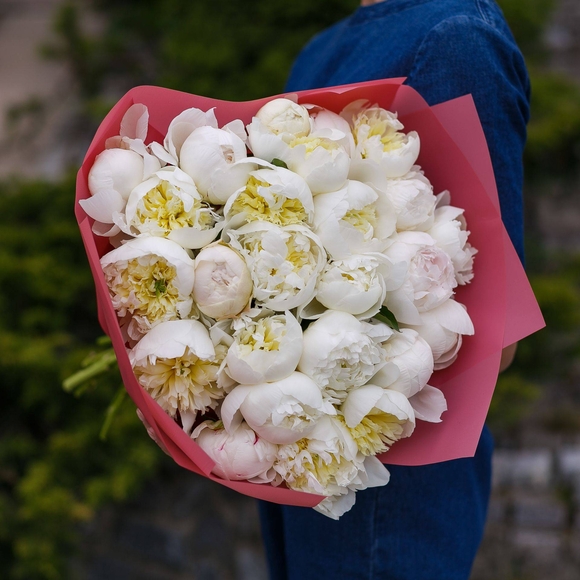 Букет из 25 белых пионов (Голландия)