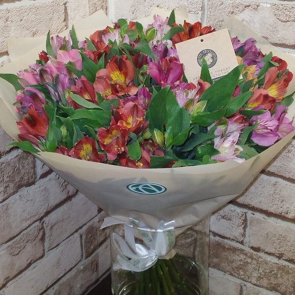 Букет из 25 альстромерий микс