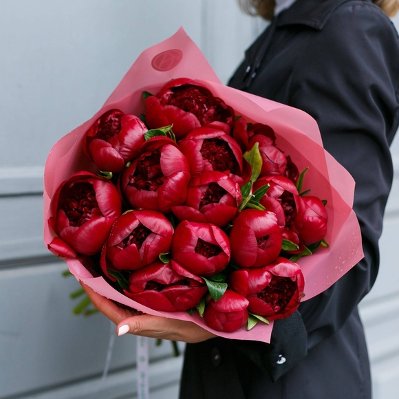 Букет из 15 бордовых пионов (Голландия). АКЦИЯ!