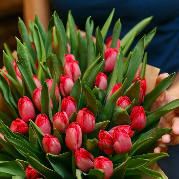 Тюльпаны красные поштучно