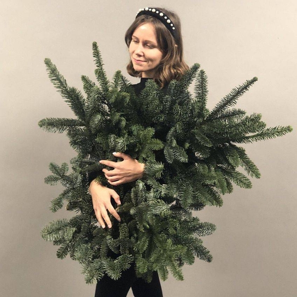 5 веток датской пихты нобилис