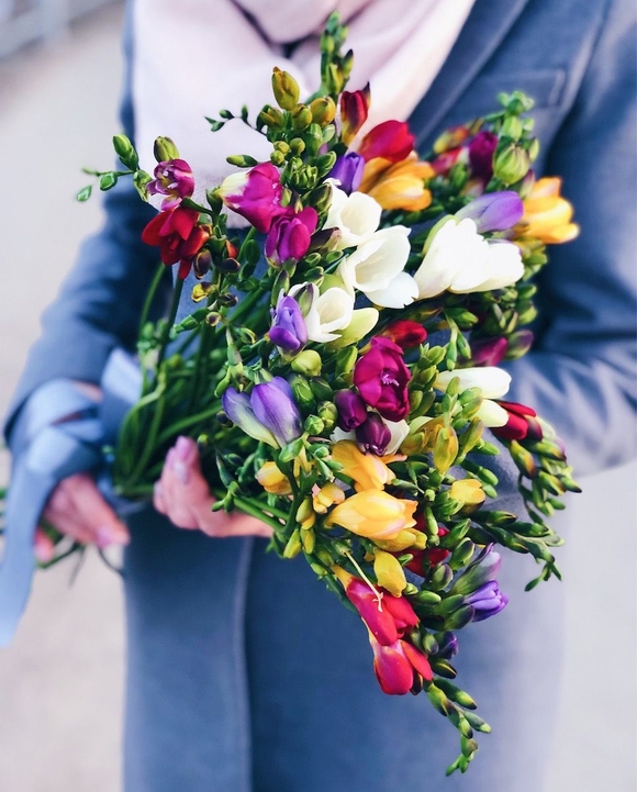 Фрезия поштучно ( Цвета в ассортименте )