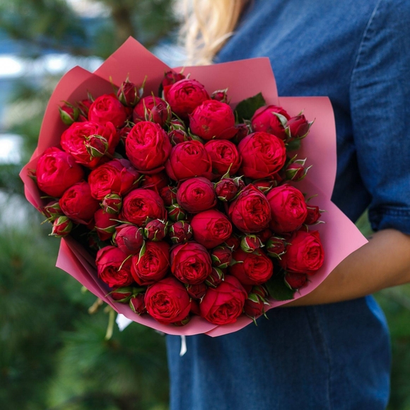 Букет из 25 пионовидных кустовых роз Ред Пиано 50 см