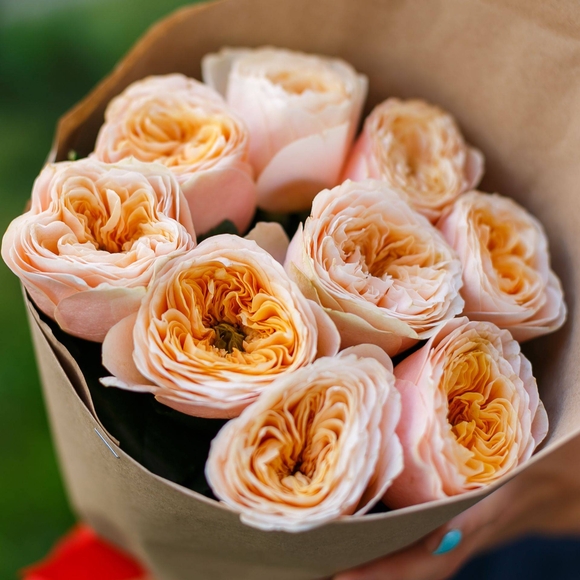 Букет из 9 пионовидных роз Вувузела Пич 50 см