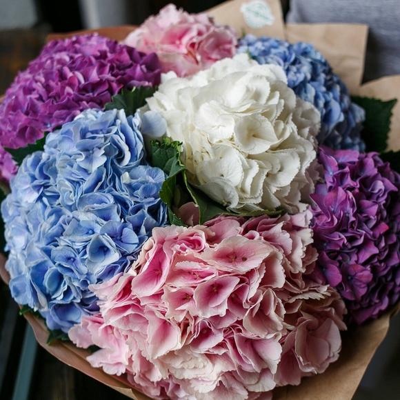 Букет из 7 гортензий микс