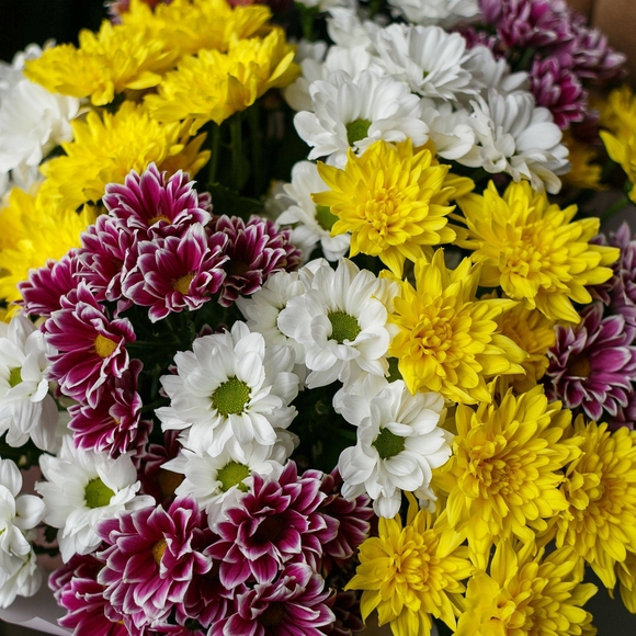 Букет из 15 кустовых хризантем микс