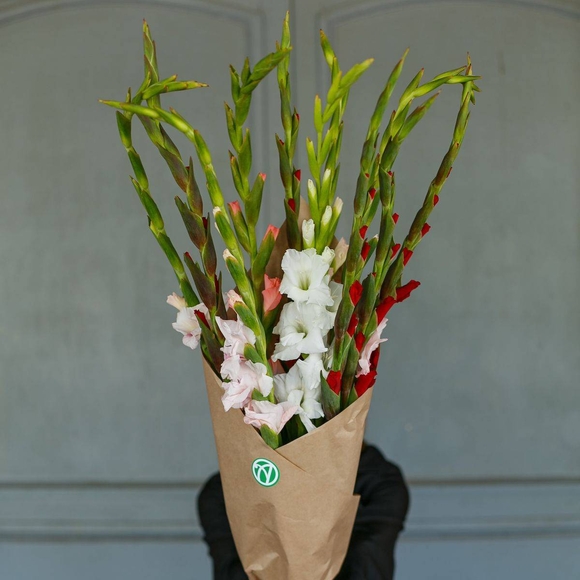 Букет из 11 гладиолусов микс (Голландия)