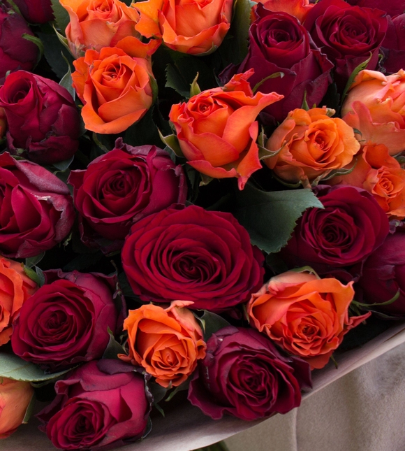 Букет из 51 красной и оранжевой розы 50 см (Кения)