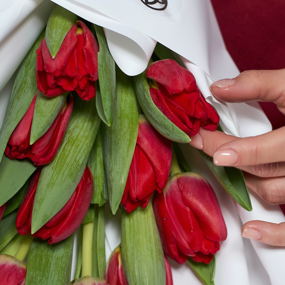 11 красных тюльпанов в корейской упаковке