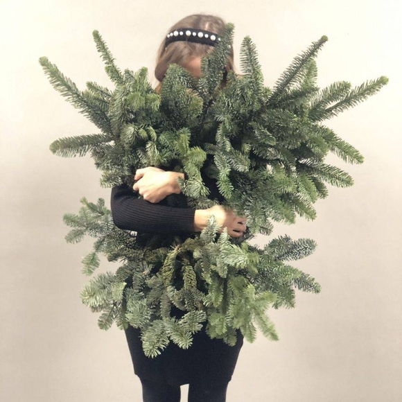 5 веток датской пихты нобилис