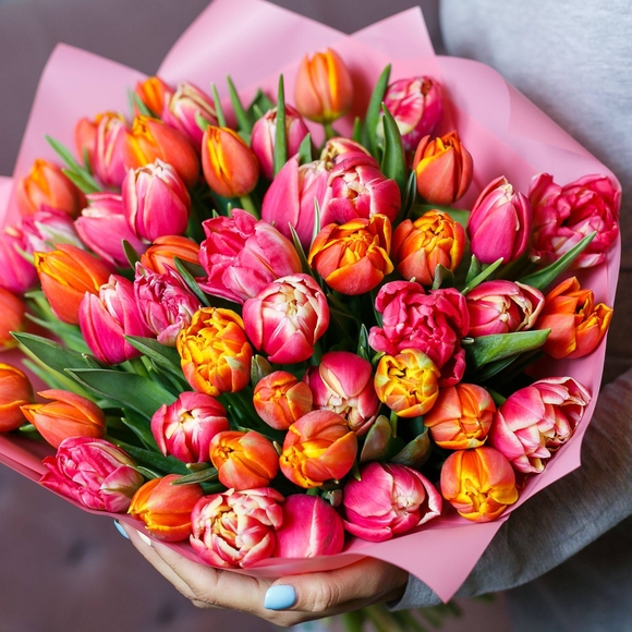 Букет из 51 пионовидного тюльпана
