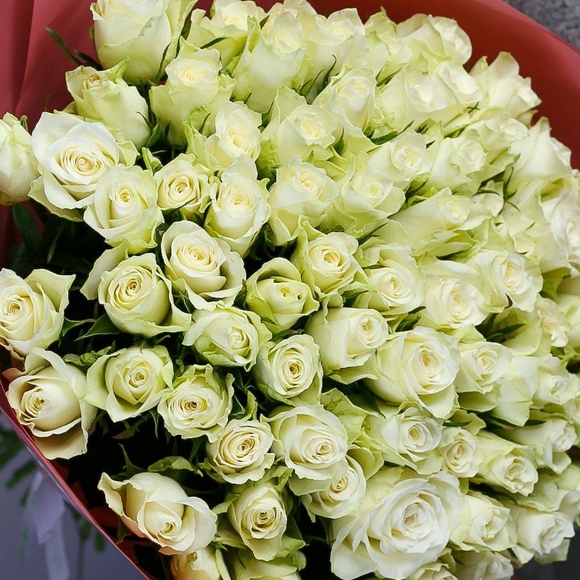 Букет из 75 белых роз Кения (35 см)