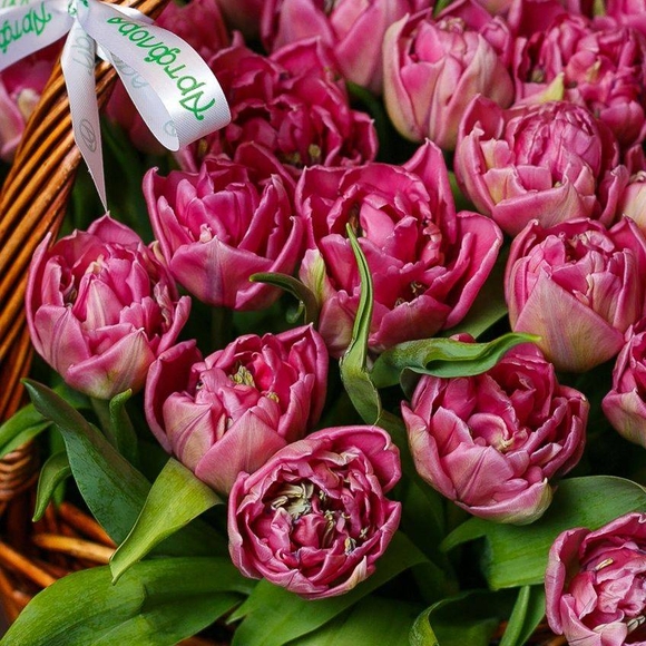 35 розовых пионовидных тюльпанов в корзине