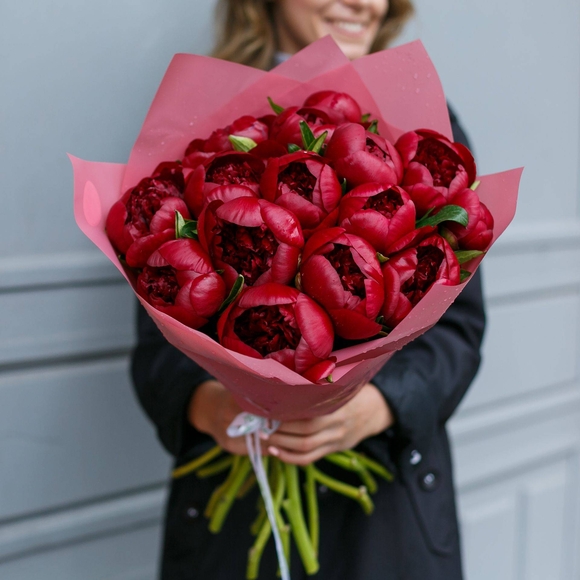 Букет из 15 бордовых пионов (Голландия). АКЦИЯ!