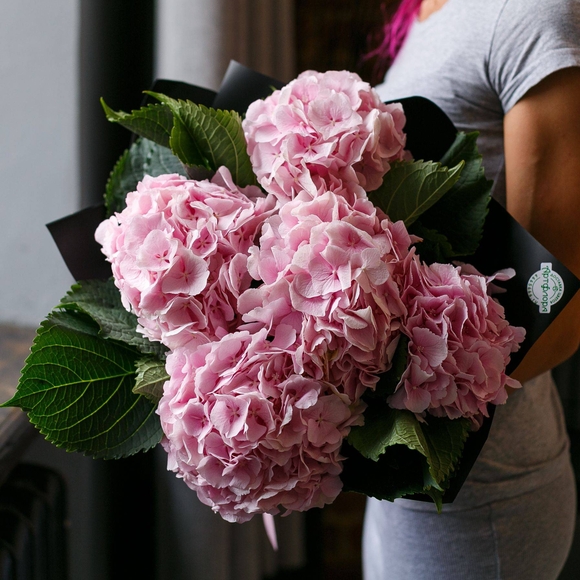 Букет из 5 розовых гортензий