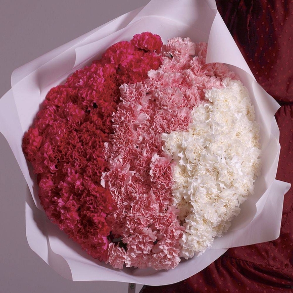 Букет из 101 гвоздики (диантусов) градиент