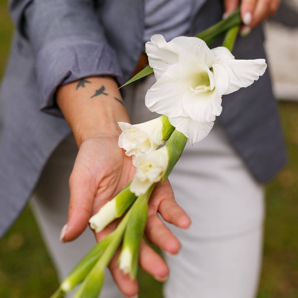 Гладиолус микс поштучно