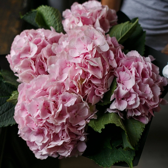 Букет из 5 розовых гортензий