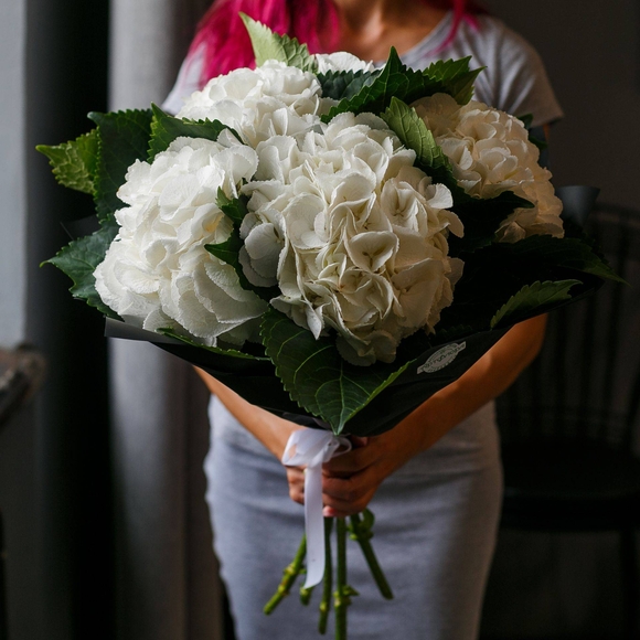 Букет из 5 белых гортензий