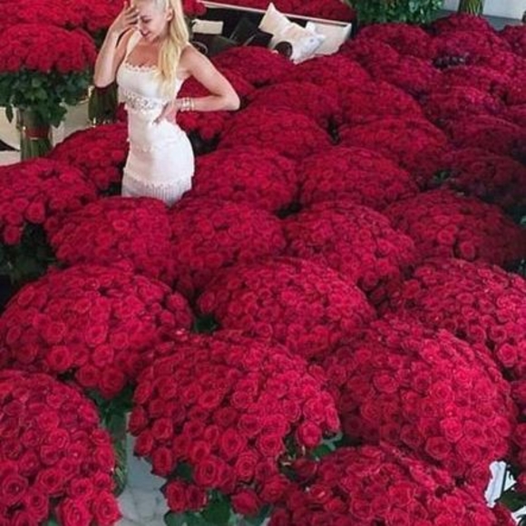 Море цветов (101 букет)