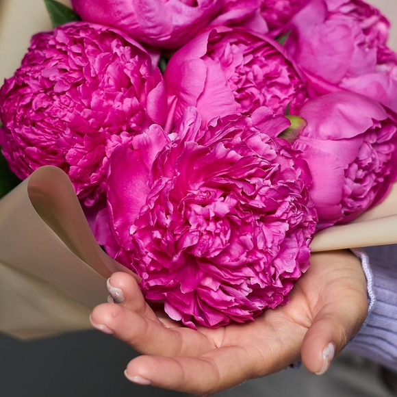 Букет из 7 малиновых пионов (Россия)