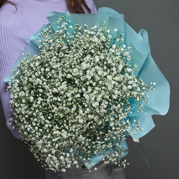 Букет из 25 белых гипсофил