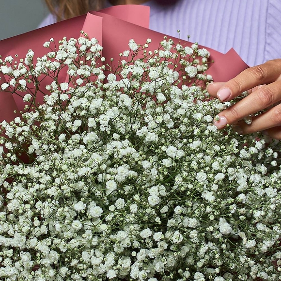 Букет из 15 белых гипсофил