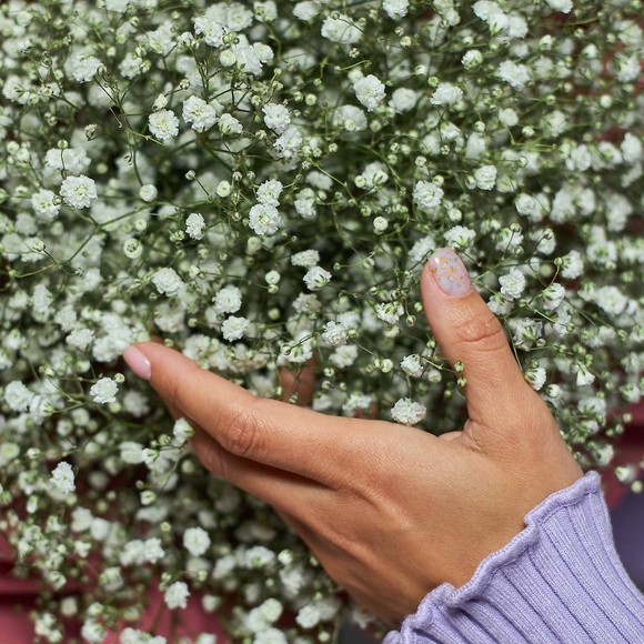 Букет из 15 белых гипсофил