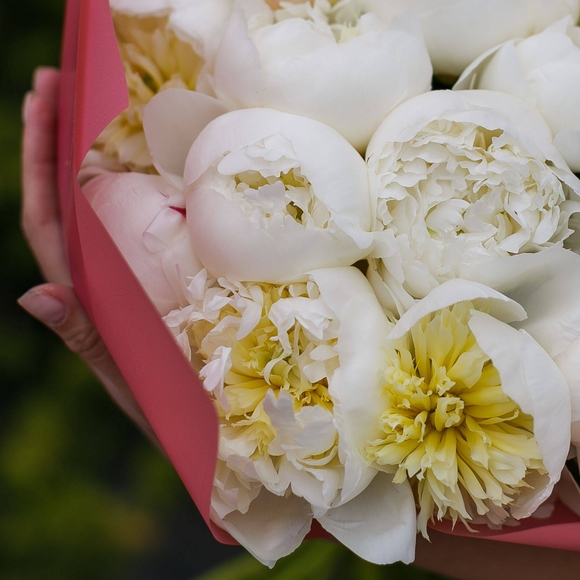 Букет из 25 белых пионов (Голландия) АКЦИЯ! купить в Санкт-Петербурге ...