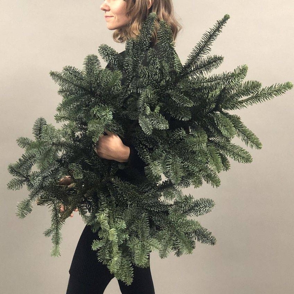 3 ветки датской пихты нобилиc