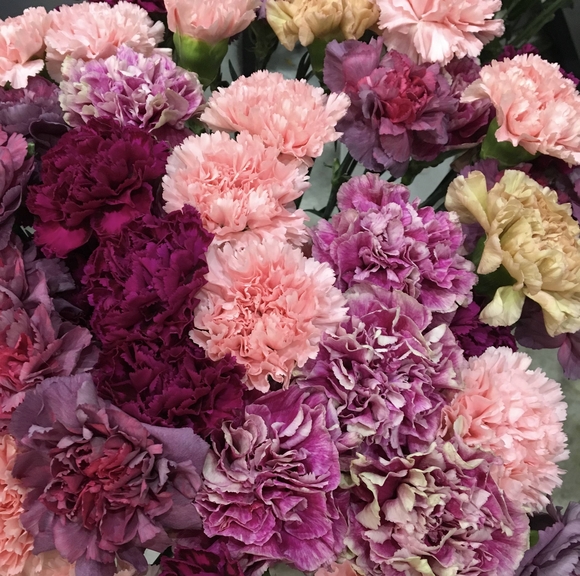 Гвоздика (цвета в ассортименте), 10 штук