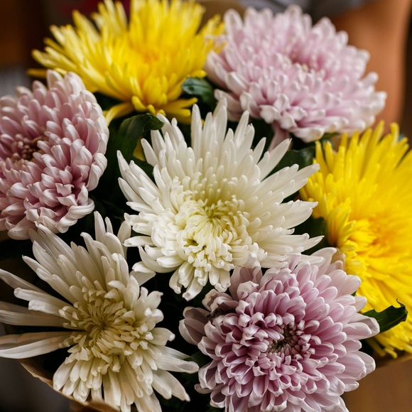 Букет из 7 одноголовых хризантем микс