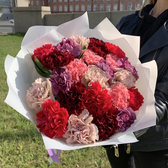 Букет из 25 гвоздик (диантусов) микс