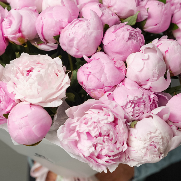 Букет из 35 розовых пионов (Россия) в корейской матовой пленке