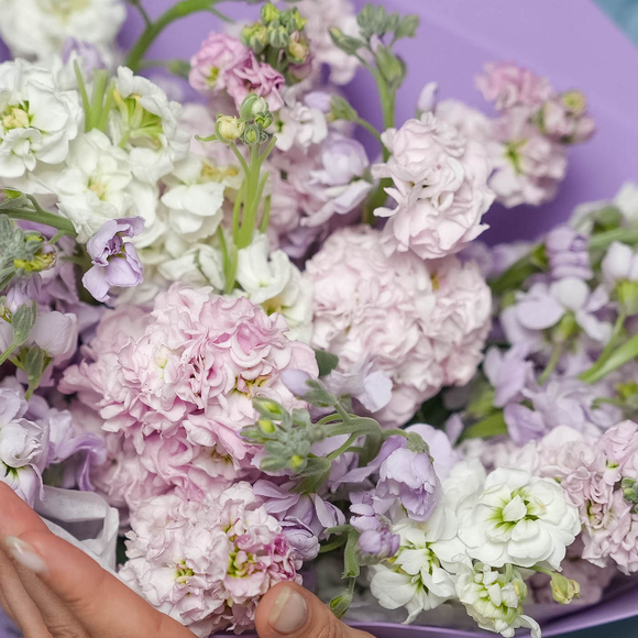 Букет из 25 маттиол микс в фоамиране