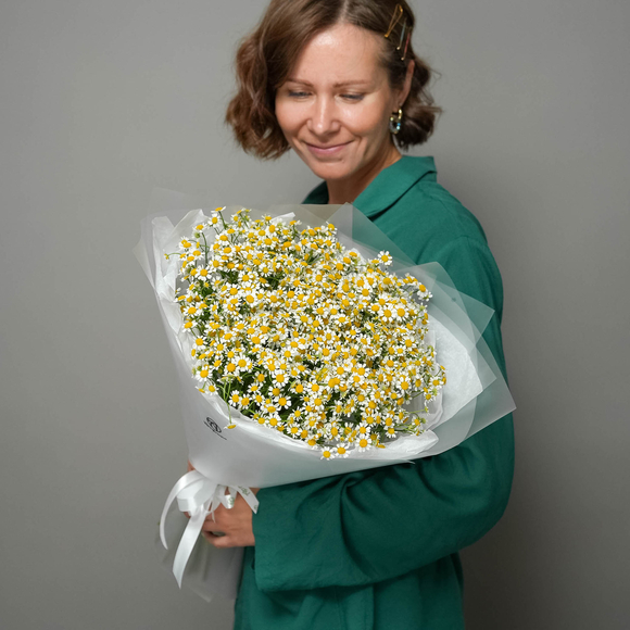 Букет из 25 ромашек матрикарий в корейской матовой пленке