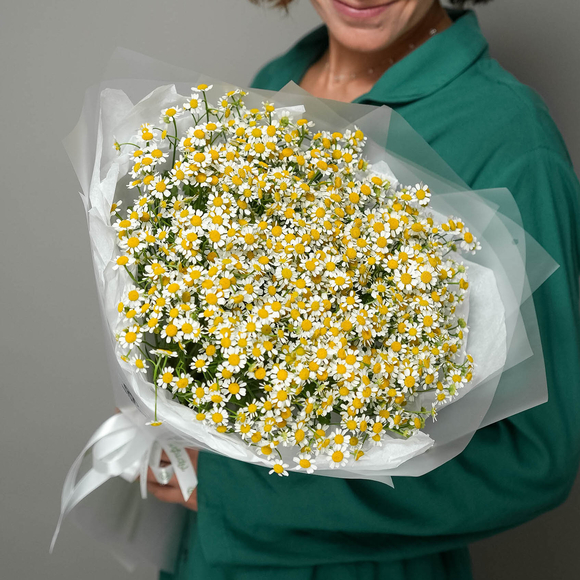 Букет из 25 ромашек матрикарий в корейской матовой пленке