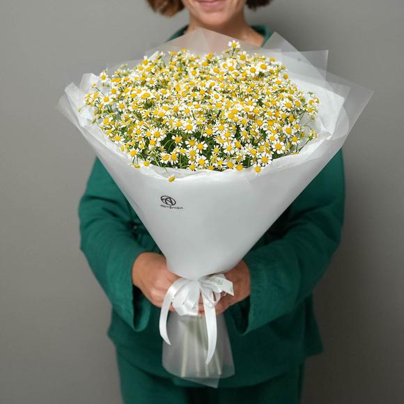 Букет из 25 ромашек матрикарий в корейской матовой пленке