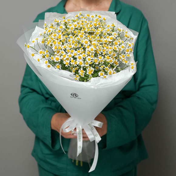 Букет из 15 ромашек матрикарий в корейской матовой пленке