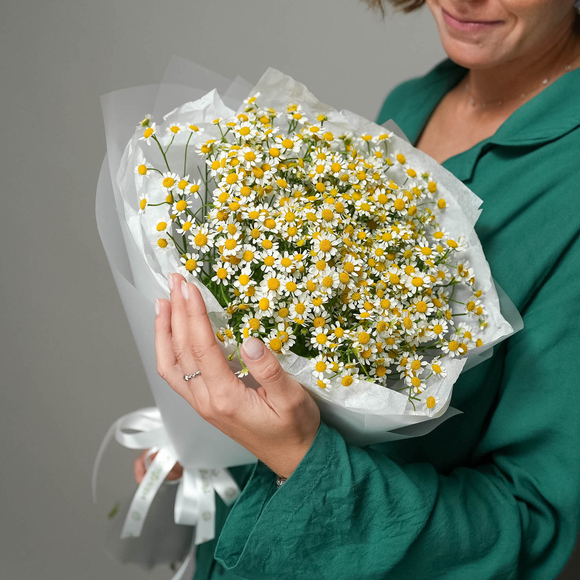Букет из 15 ромашек матрикарий в корейской матовой пленке