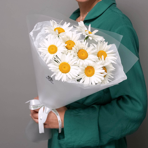 Букет из 9 садовых ромашек в корейской матовой пленке